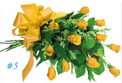 Pictures Of Yellow Roses. yellow roses jpg